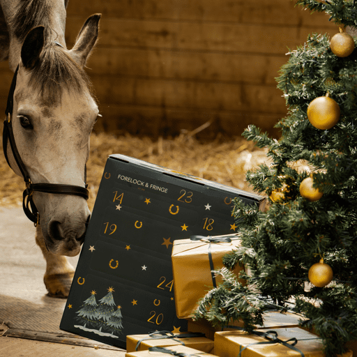 Lyxig adventskalender för hästälskare (2025)