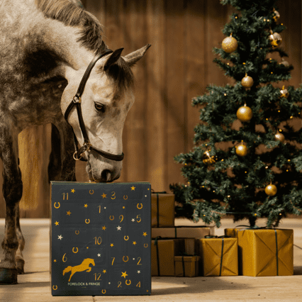 Lyxig adventskalender för hästälskare (2025)