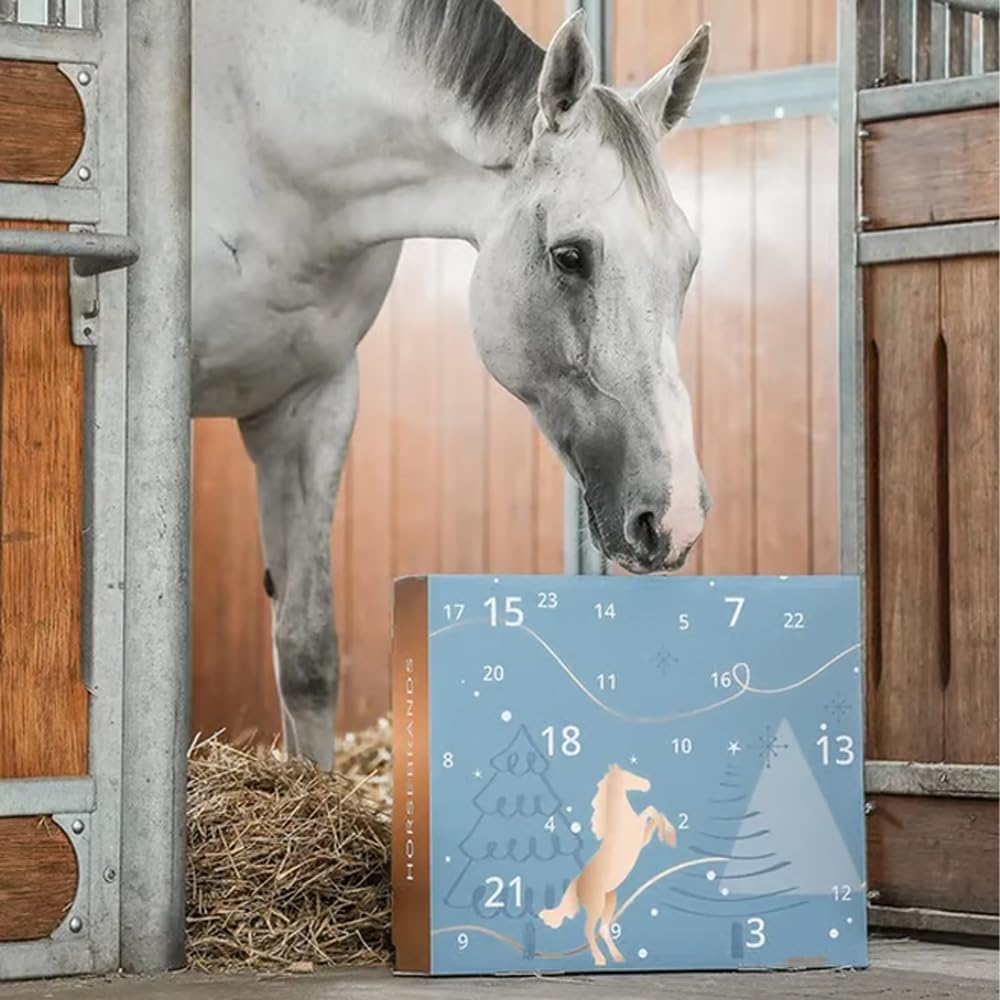 Lyxig adventskalender för hästälskare (2025)